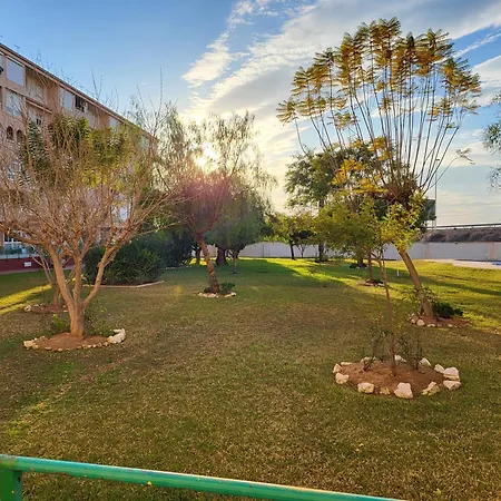 Skyline 21 דירה טורבייחה