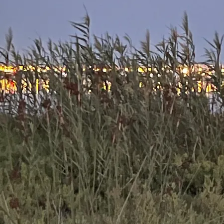 Skyline 21 * トレビエハ