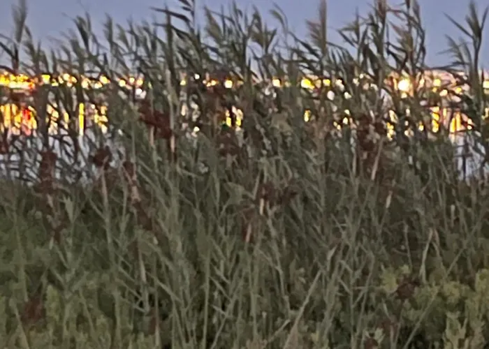 Skyline 21 * Torrevieja