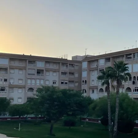 Skyline 21 *
